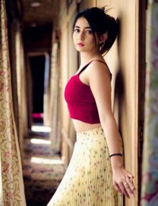 escort service in Amritsar