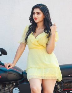 Amritsar call girls